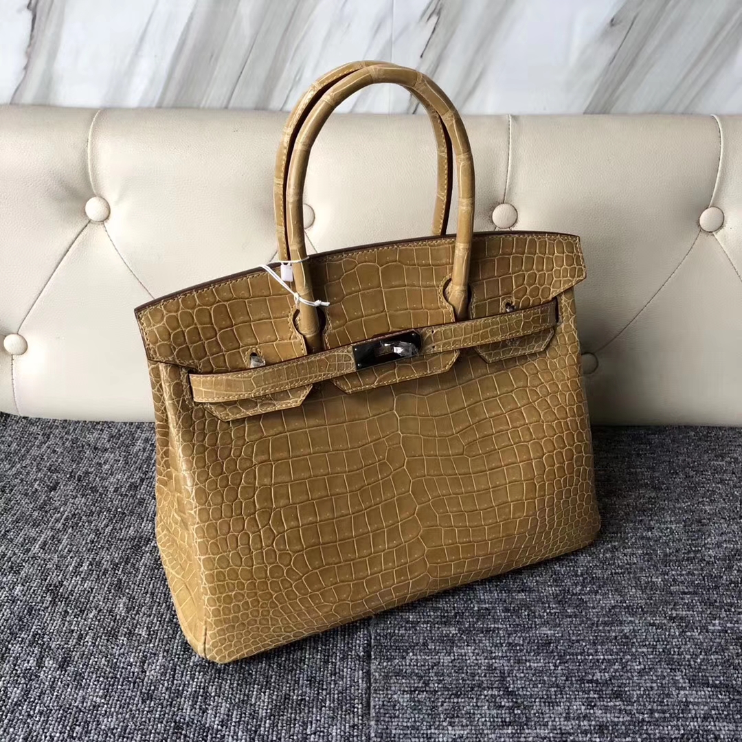 スポットエルメスバーキンレディースバッグエルメスブライトベイクロコダイルレザープラチナバッグBirkin30CM1Cヌードシルバーバックル