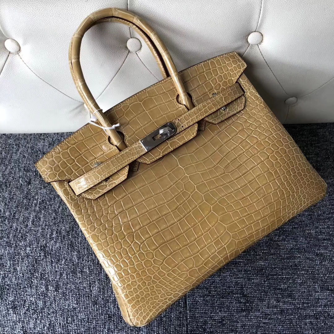 スポットエルメスバーキンレディースバッグエルメスブライトベイクロコダイルレザープラチナバッグBirkin30CM1Cヌードシルバーバックル