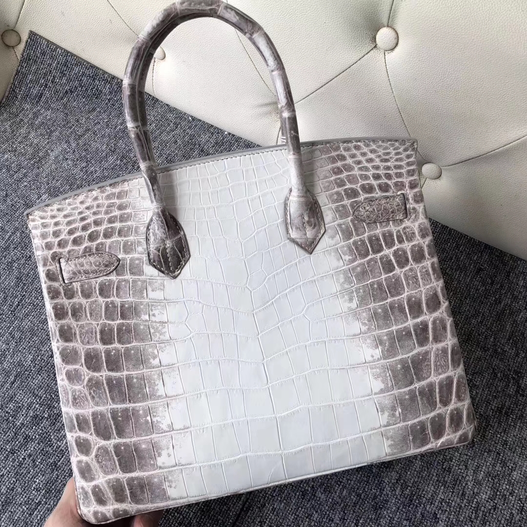 エルメスバッグ公式サイトエルメスヒマラヤトップクロコダイルレザープラチナバッグBirkin30CMシルバーバックル