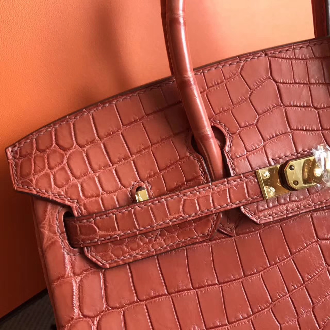 エルメスの新しいレディースバッグエルメスサーモンレッドマットクロコダイルレザーBirkin25プラチナバッグゴールドバックル