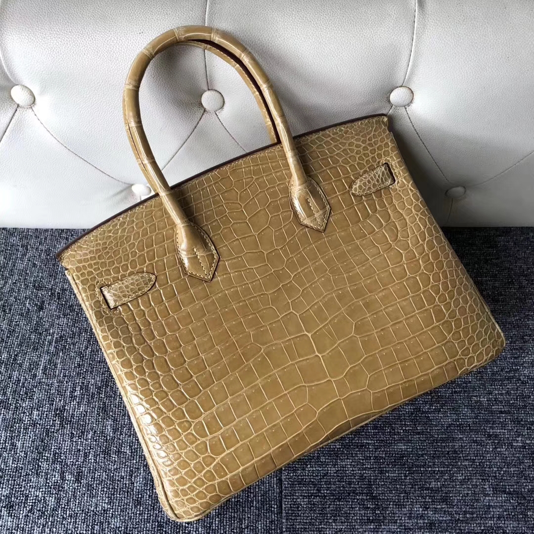 スポットエルメスバーキンレディースバッグエルメスブライトベイクロコダイルレザープラチナバッグBirkin30CM1Cヌードシルバーバックル