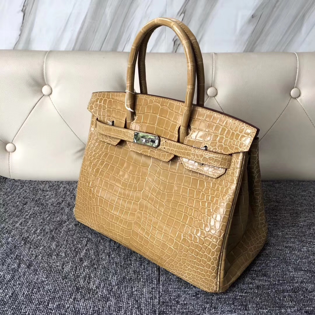 スポットエルメスバーキンレディースバッグエルメスブライトベイクロコダイルレザープラチナバッグBirkin30CM1Cヌードシルバーバックル