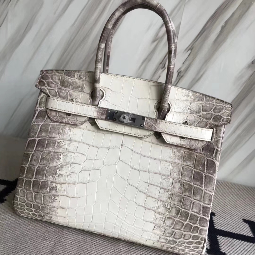 エルメスバーキンバッグエルメスヒマラヤトップクロコダイルレザープラチナバッグBirkin30CMシルバーバックル