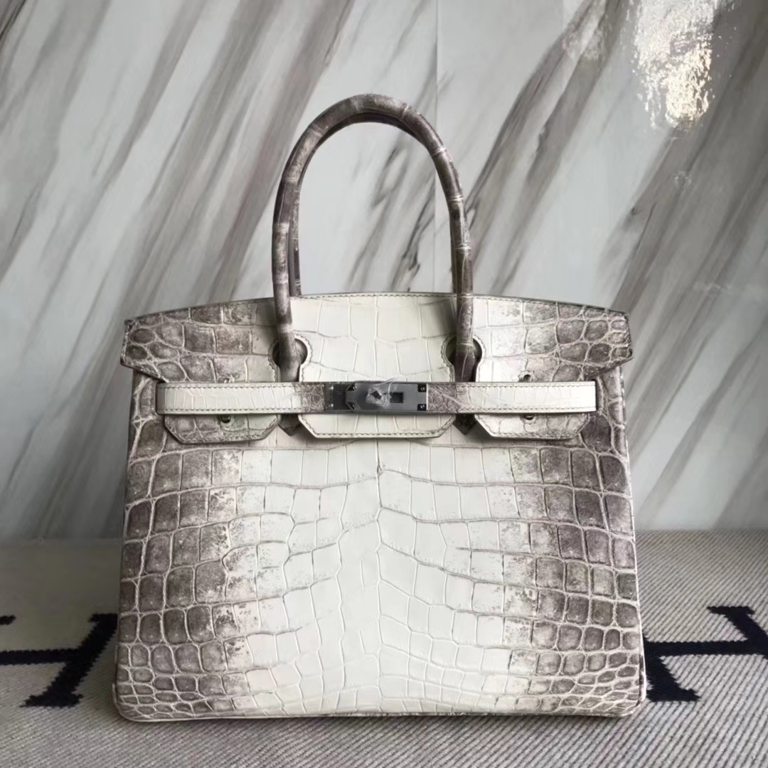 エルメスバーキンバッグエルメスヒマラヤトップクロコダイルレザープラチナバッグBirkin30CMシルバーバックル