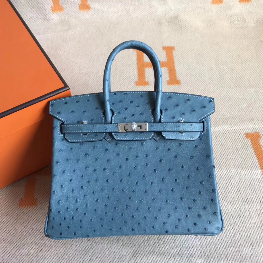 エルメスバーキンバッグエルメスコーラルブルートップオーストリッチレザープラチナバッグBirkin25CMシルバーバックル