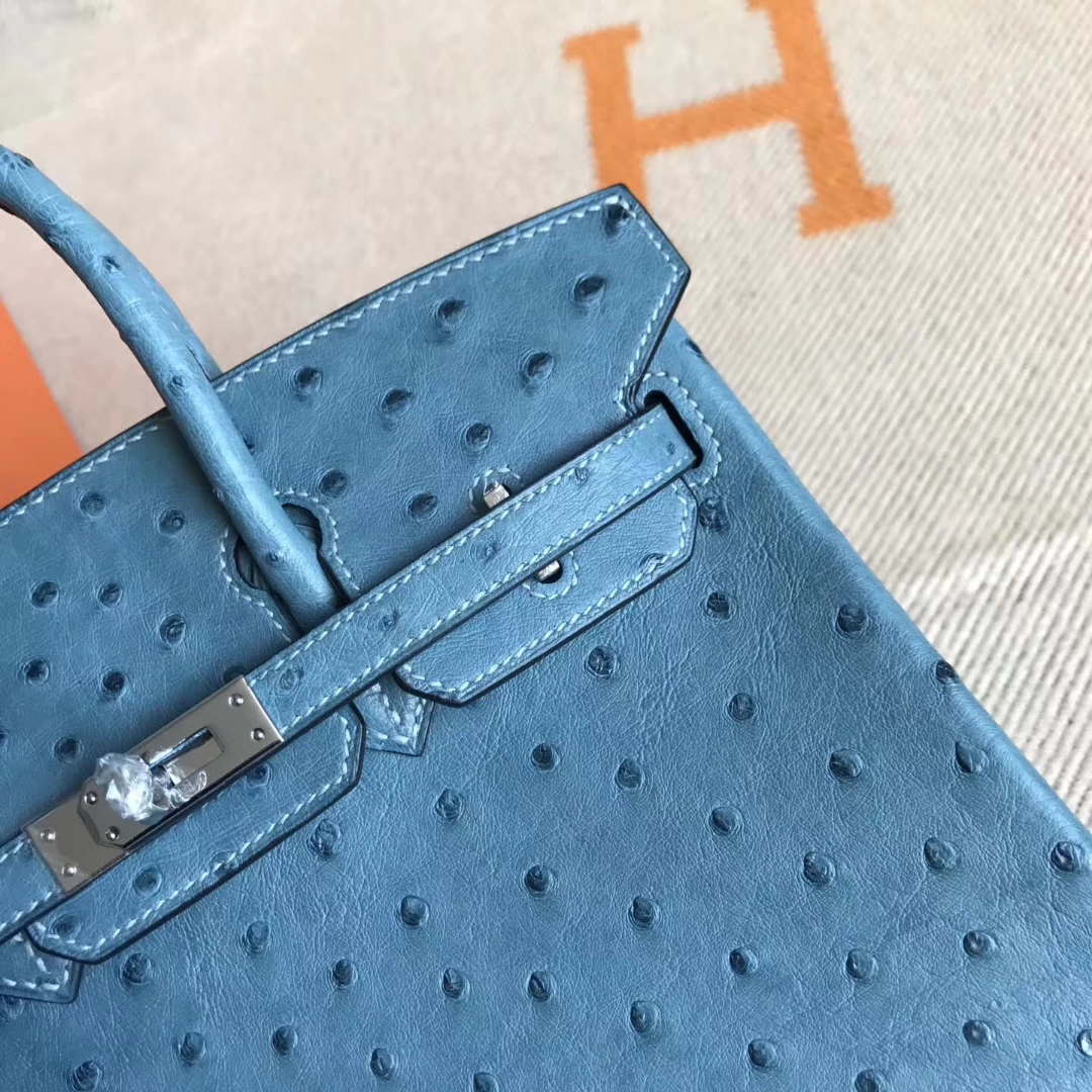 エルメスバーキンバッグエルメスコーラルブルートップオーストリッチレザープラチナバッグBirkin25CMシルバーバックル