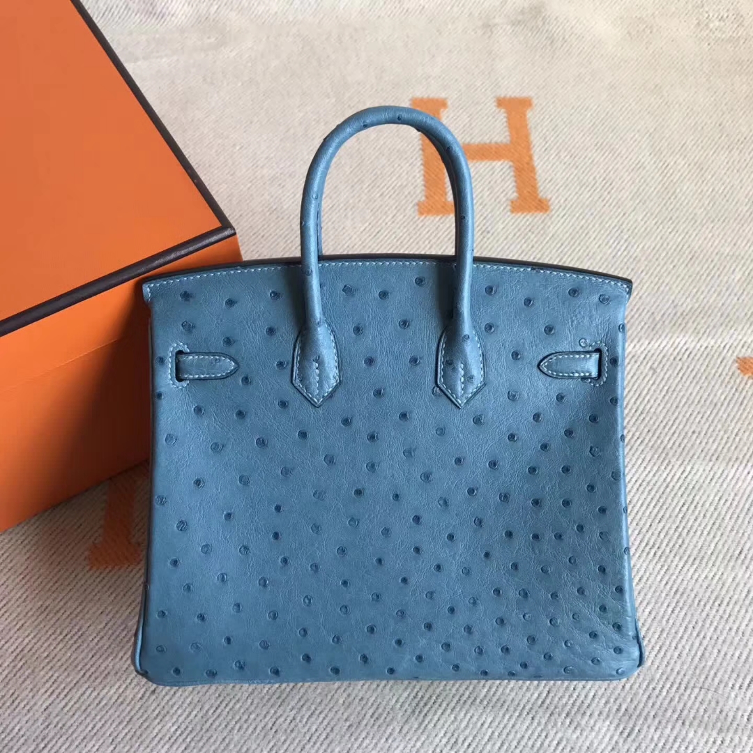 エルメスバーキンバッグエルメスコーラルブルートップオーストリッチレザープラチナバッグBirkin25CMシルバーバックル