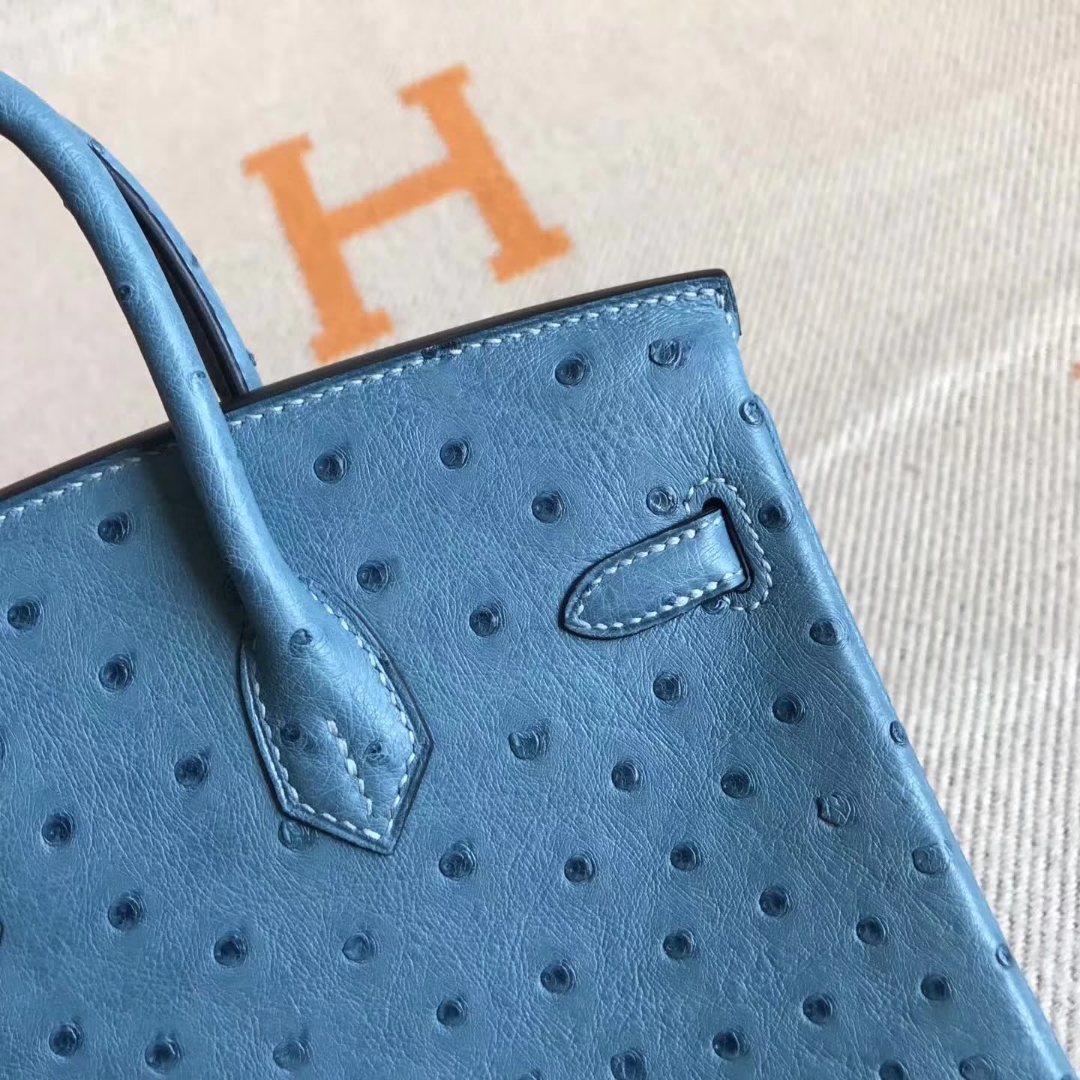 エルメスバーキンバッグエルメスコーラルブルートップオーストリッチレザープラチナバッグBirkin25CMシルバーバックル