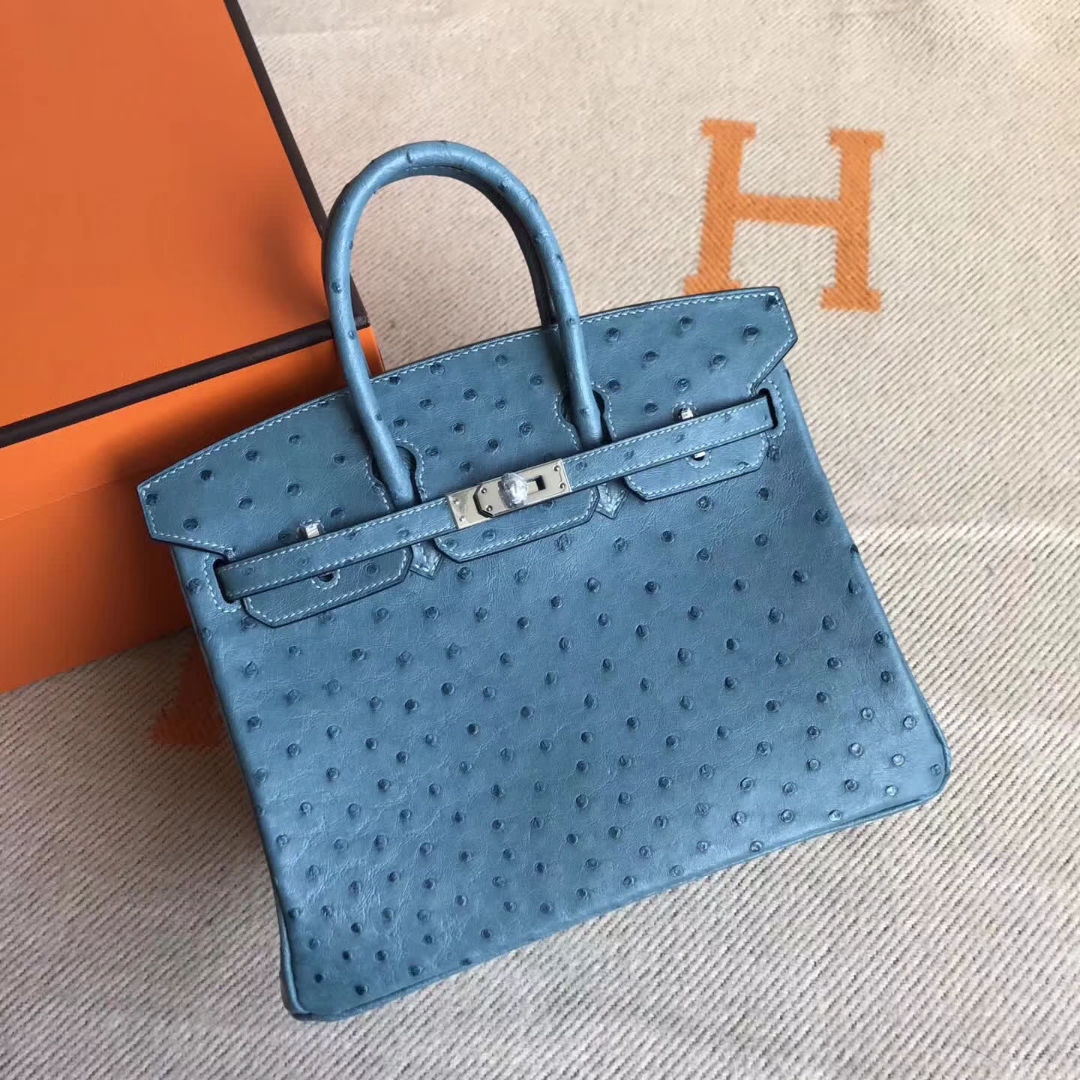 エルメスバーキンバッグエルメスコーラルブルートップオーストリッチレザープラチナバッグBirkin25CMシルバーバックル