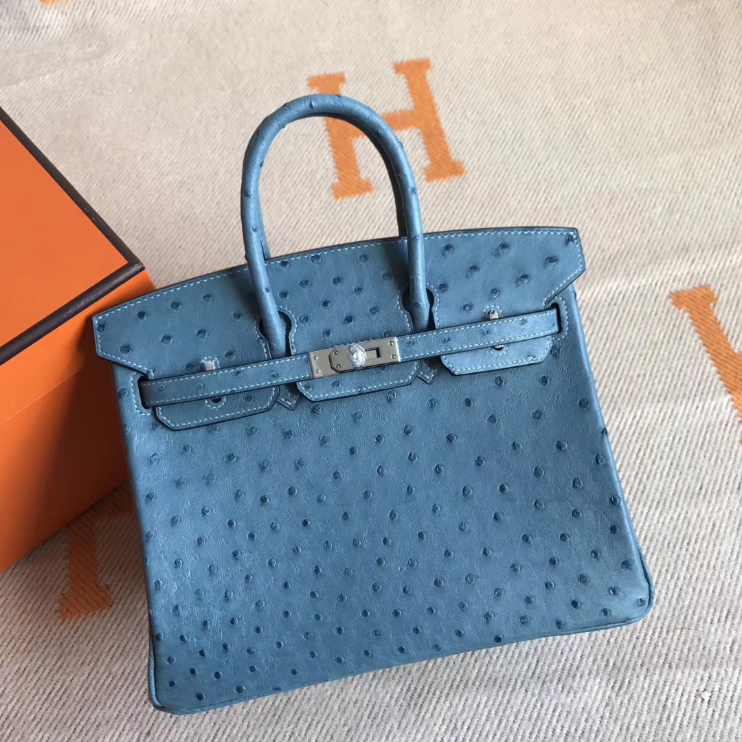 エルメスバーキンバッグエルメスコーラルブルートップオーストリッチレザープラチナバッグBirkin25CMシルバーバックル