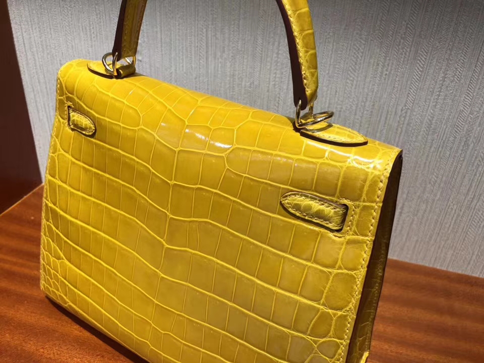 エルメスケリー25CMエルメス9Dアンバーイエローシャイニークロコダイルレザーケリーバッグゴールドバックル-hermes.earth エルメスケリー25CMエルメス9Dアンバーイエローシャイニークロコダイルレザーケリーバッグゴールドバックル