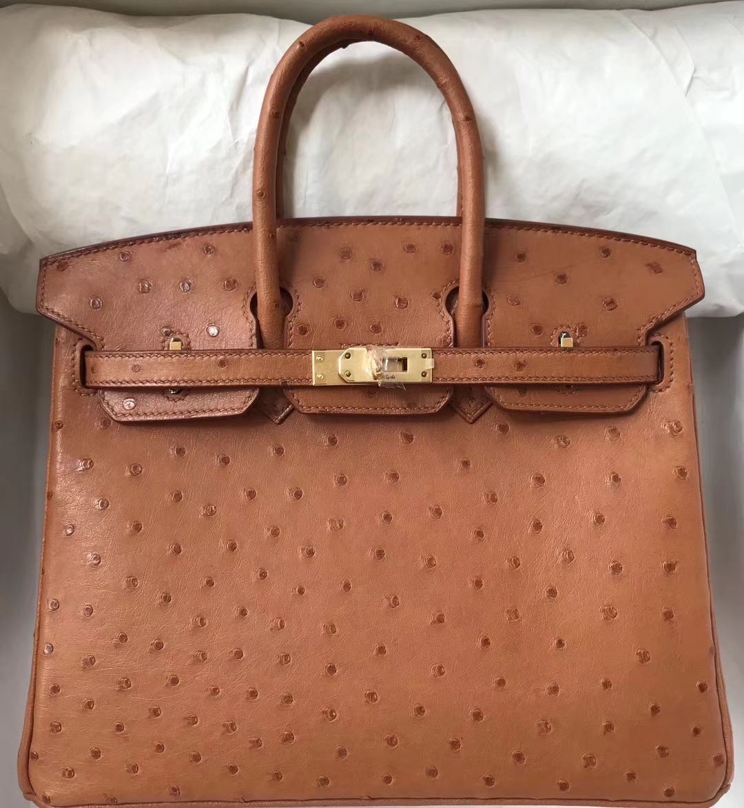 エルメスバッグ公式サイトエルメスキャラメルトップKKオーストリッチレザープラチナバッグBirkin25CMゴールドバックル