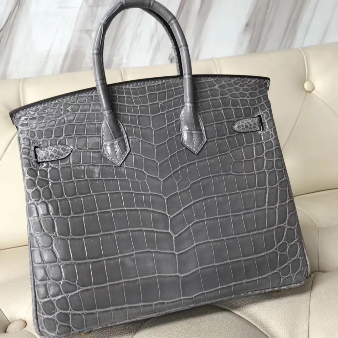 エルメスバーキンバッグエルメスシャイニーナイルクロコダイルレザープラチナバッグBirkin25CM8Uグレイシャーグレーゴールドバックル