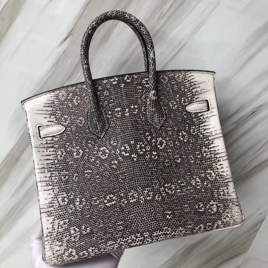 スポットエルメストカゲスキンプラチナバッグエルメスBirkin25CM01小さなヒマラヤシルバーバックル