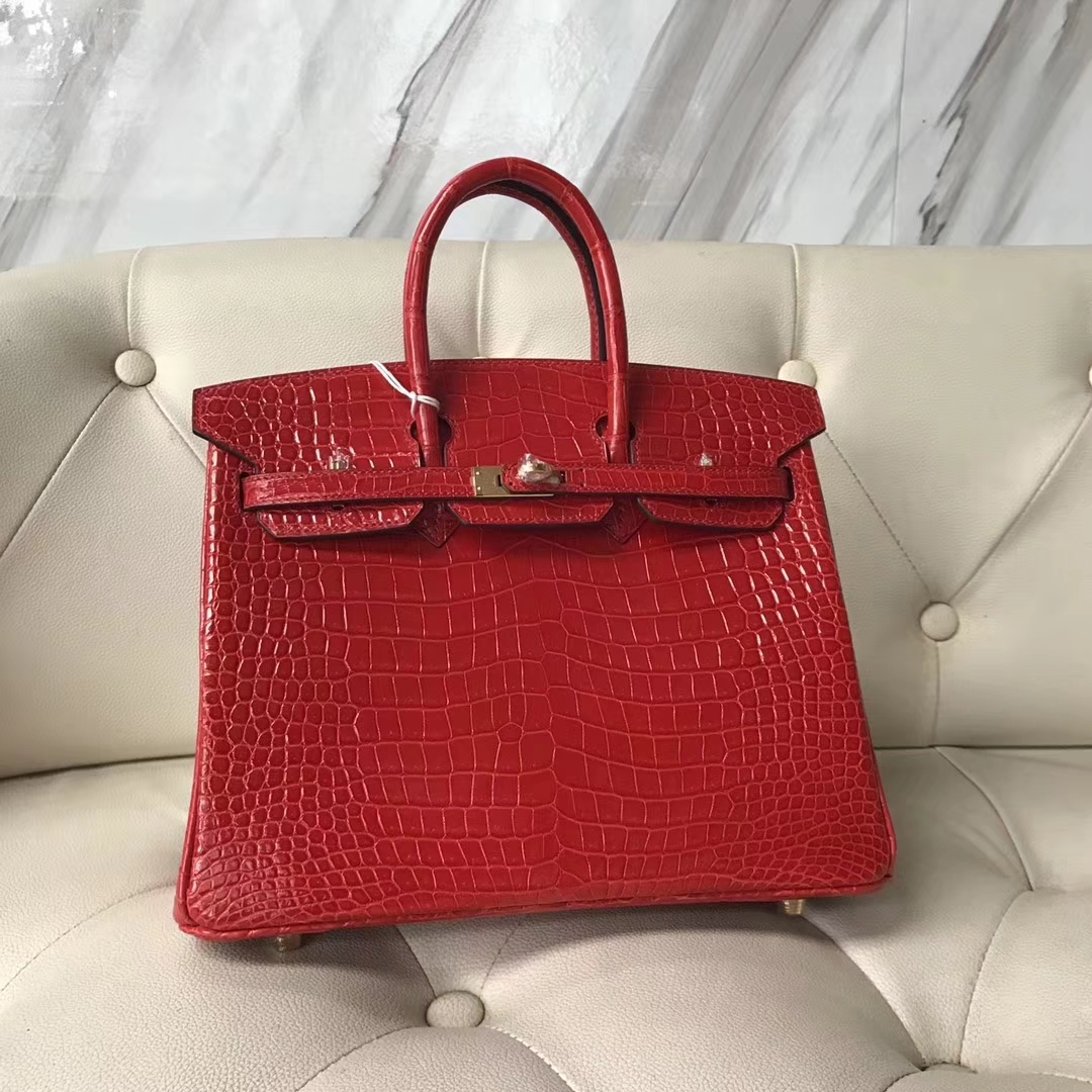 エルメスバーキンレディースバッグエルメスシャイニーオーストラリアンクロコダイルレザープラチナバッグBirkin25CMCK95フェラーリレッドゴールドバックル