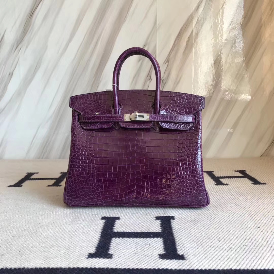 エルメスバーキンバッグエルメスシャイニークロコダイルレザープラチナバッグBirkin25CM9Gアメジストシルバーバックル