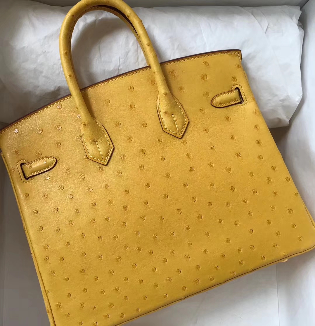 エルメスバーキンバッグエルメストップKKオーストリッチレザープラチナバッグ25CM9Dアンバーゴールドバックル-hermes.earth エルメスバーキンバッグエルメストップKKオーストリッチレザープラチナバッグ25CM9Dアンバーゴールドバックル