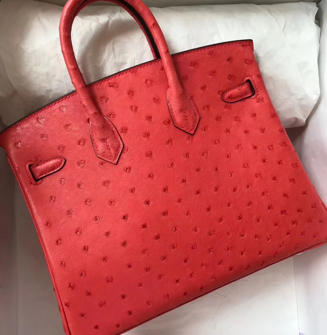 エルメスバーキン25CMエルメスA5カッコウレッドトップKKオーストリッチレザープラチナバッグシルバーバックル