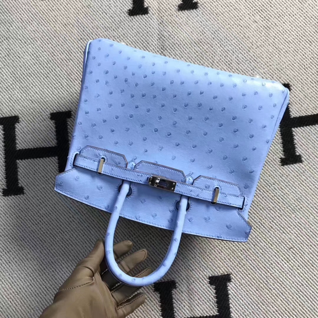 エルメスバッグ公式サイトエルメスピンクブルー輸入南アフリカダチョウレザープラチナバッグBirkin25CMシルバーバックル