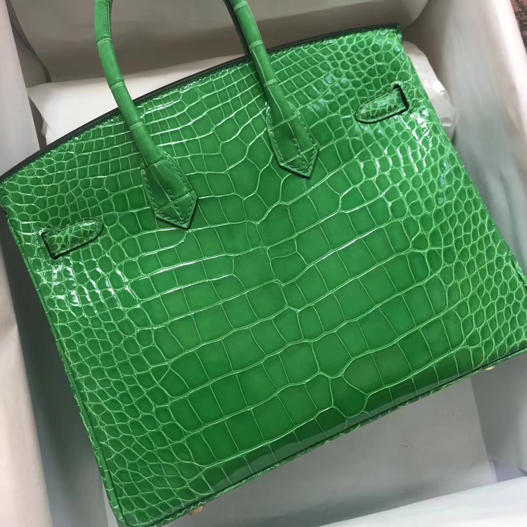 エルメスバーキンバッグエルメスシャイニークロコダイルレザープラチナバッグBirkin25CM1Lサボテングリーンゴールドバックル