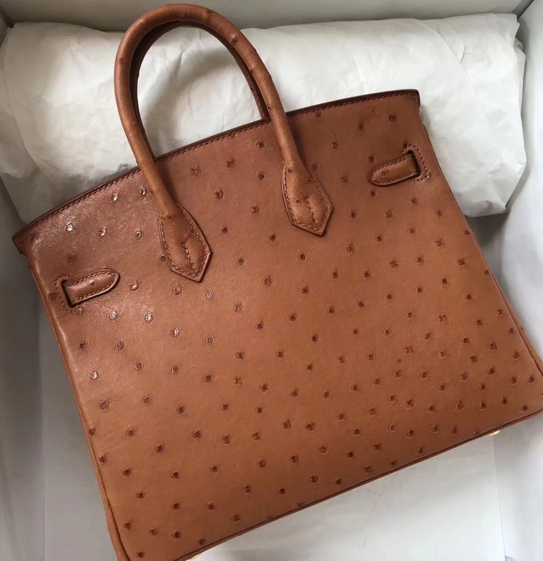 エルメスバッグ公式サイトエルメスキャラメルトップKKオーストリッチレザープラチナバッグBirkin25CMゴールドバックル