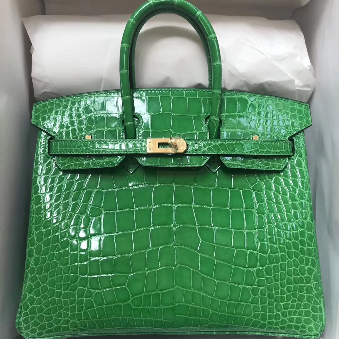 エルメスバーキンバッグエルメスシャイニークロコダイルレザープラチナバッグBirkin25CM1Lサボテングリーンゴールドバックル