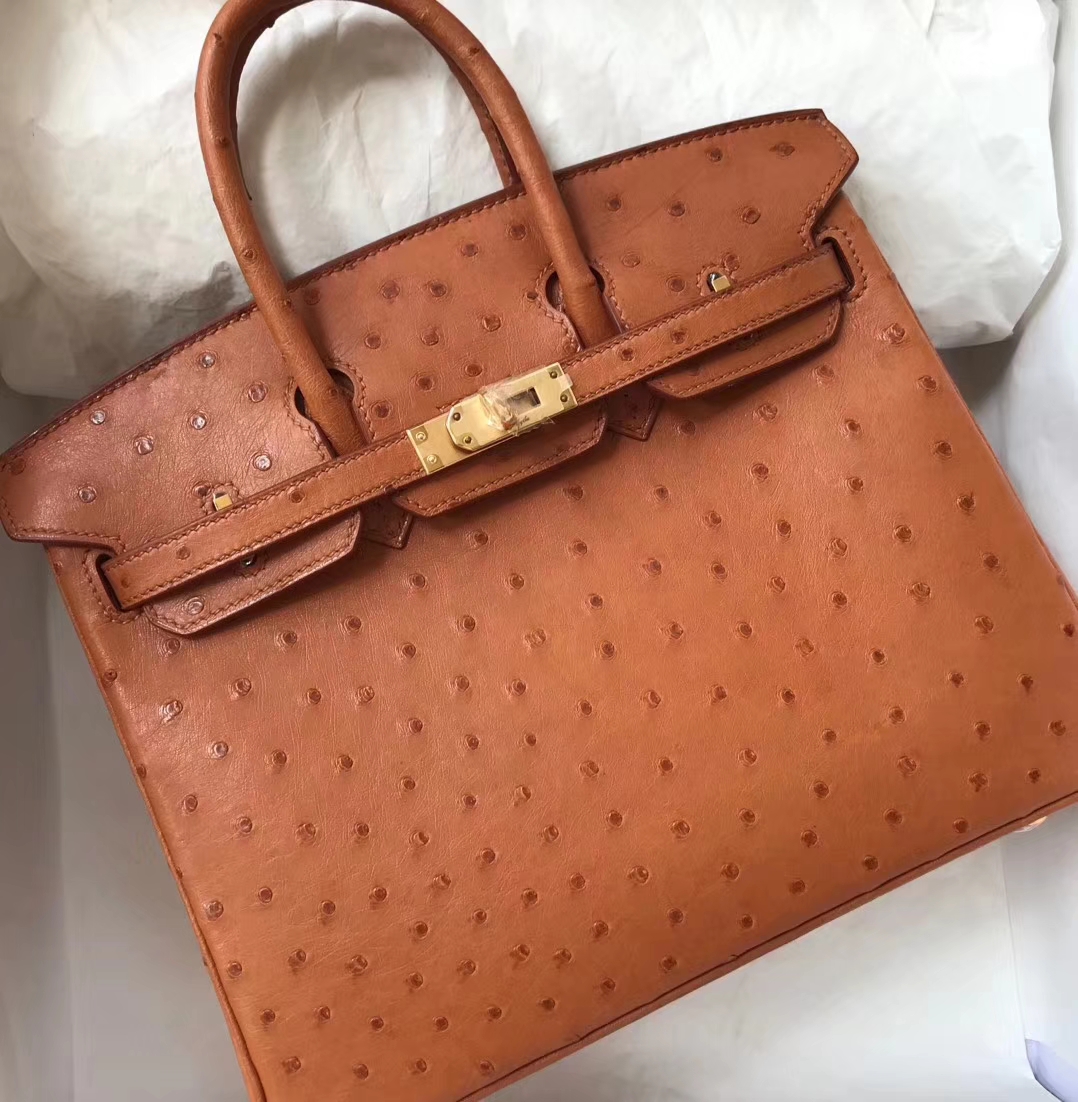 エルメスバッグ公式サイトエルメスキャラメルトップKKオーストリッチレザープラチナバッグBirkin25CMゴールドバックル