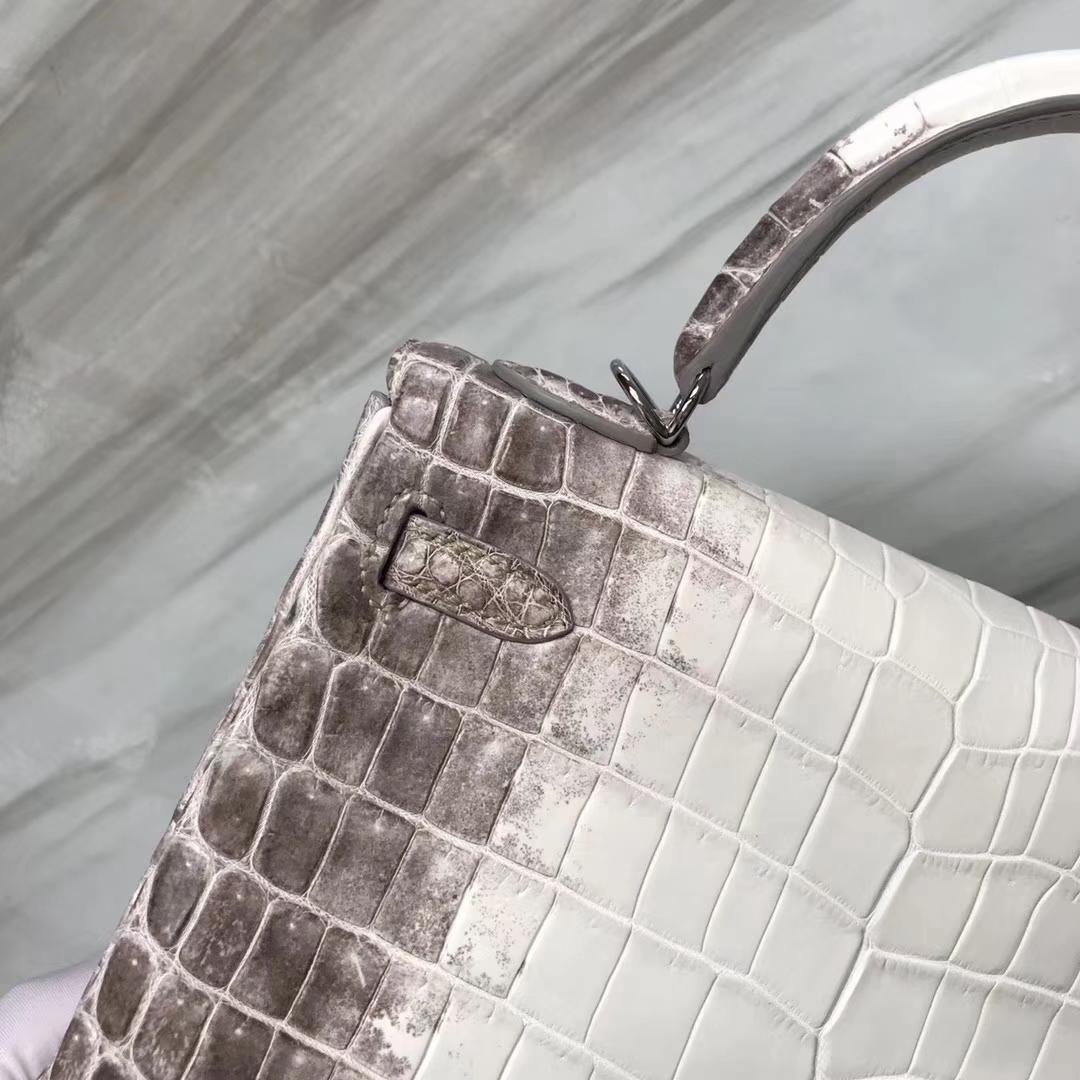 スポットエルメスケリーバッグ価格エルメスヒマラヤクロコダイルスキンケリーバッグ25CMシルバーバックル