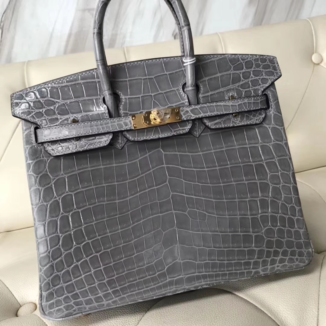 エルメスバーキンバッグエルメスシャイニーナイルクロコダイルレザープラチナバッグBirkin25CM8Uグレイシャーグレーゴールドバックル