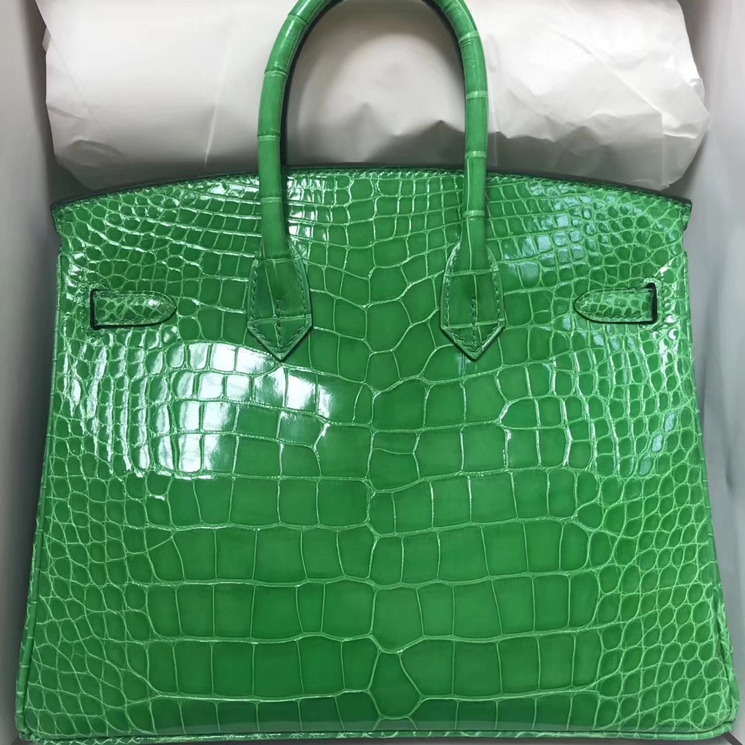 エルメスバーキンバッグエルメスシャイニークロコダイルレザープラチナバッグBirkin25CM1Lサボテングリーンゴールドバックル