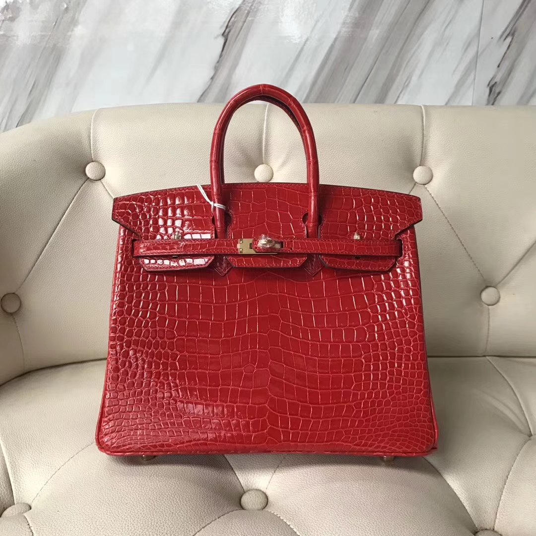 エルメスバーキンレディースバッグエルメスシャイニーオーストラリアンクロコダイルレザープラチナバッグBirkin25CMCK95フェラーリレッドゴールドバックル