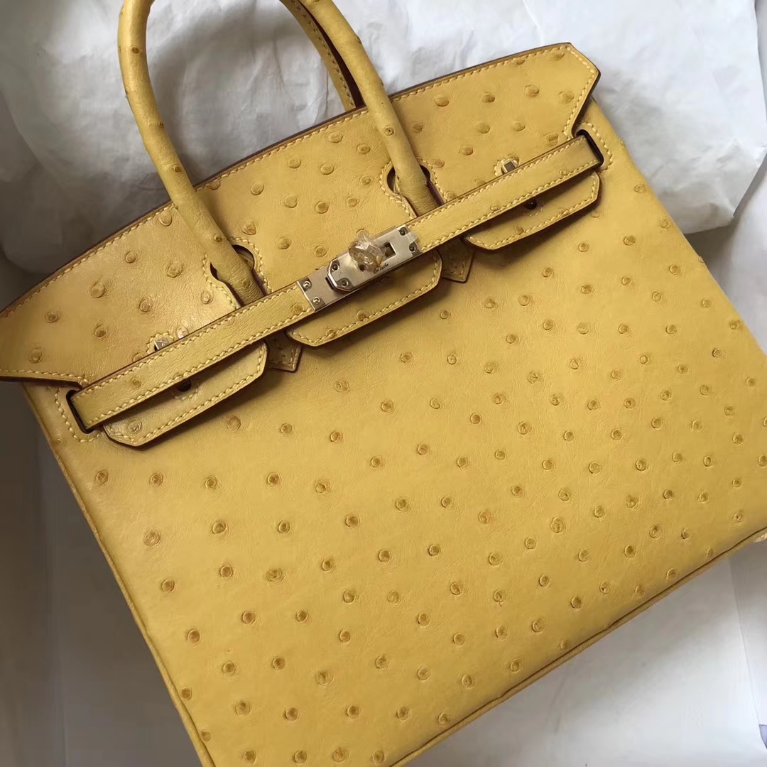 エルメスバーキンバッグエルメストップKKオーストリッチレザープラチナバッグ25CM9Dアンバーゴールドバックル-hermes.earth エルメスバーキンバッグエルメストップKKオーストリッチレザープラチナバッグ25CM9Dアンバーゴールドバックル
