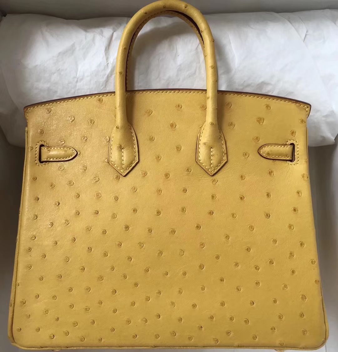 エルメスバーキンバッグエルメストップKKオーストリッチレザープラチナバッグ25CM9Dアンバーゴールドバックル-hermes.earth エルメスバーキンバッグエルメストップKKオーストリッチレザープラチナバッグ25CM9Dアンバーゴールドバックル