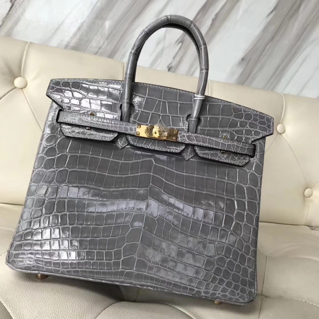 エルメスバーキンバッグエルメスシャイニーナイルクロコダイルレザープラチナバッグBirkin25CM8Uグレイシャーグレーゴールドバックル