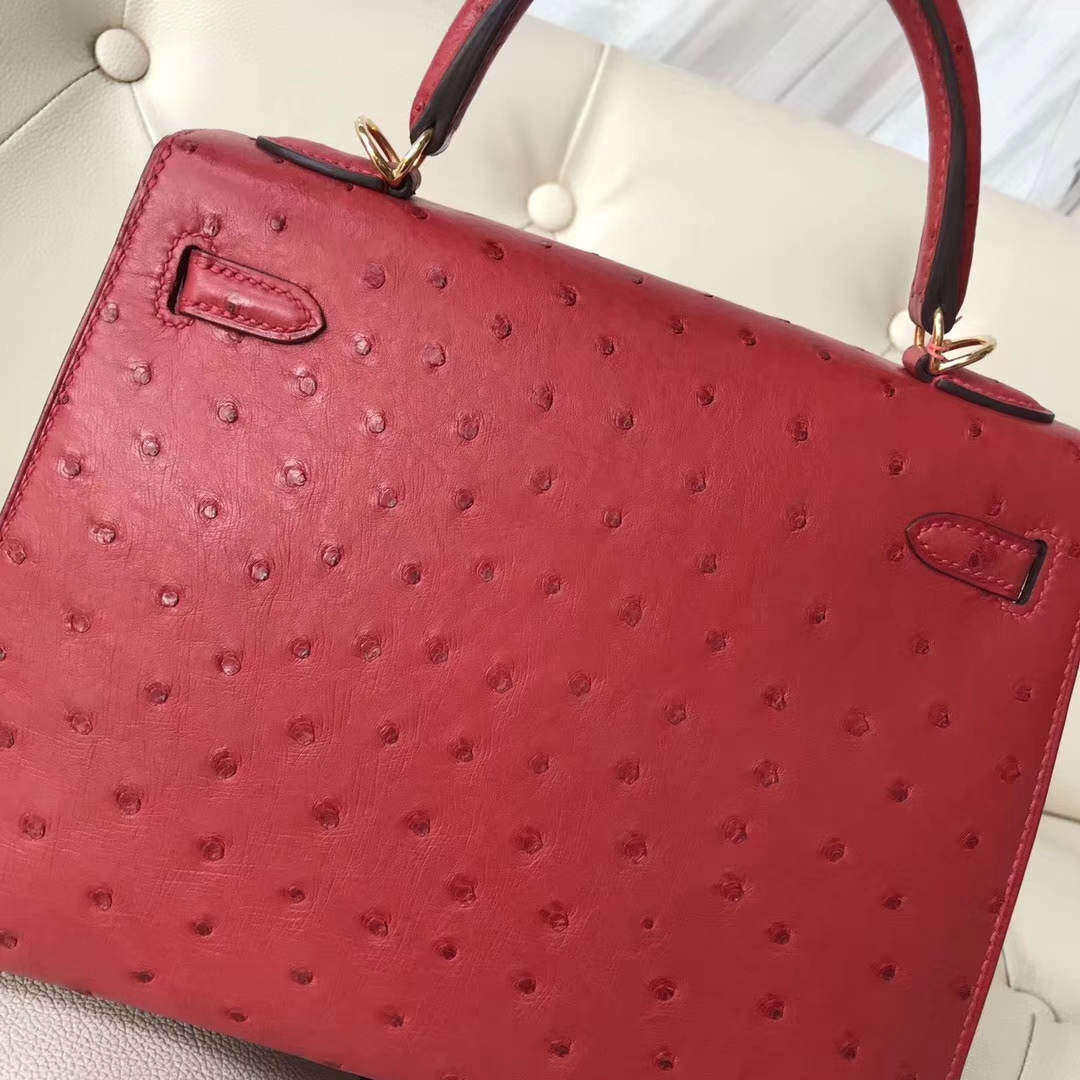 エルメスケリーバッグ価格エルメスケリー25CMQ5フラッグレッドKKオーストリッチスキンケリーバッグゴールドバックル