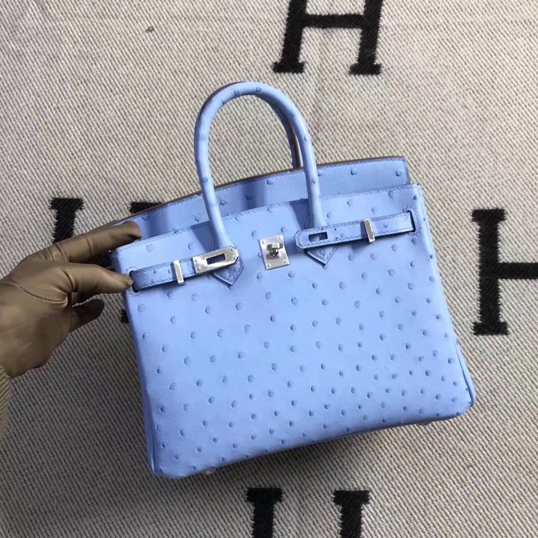 エルメスバッグ公式サイトエルメスピンクブルー輸入南アフリカダチョウレザープラチナバッグBirkin25CMシルバーバックル