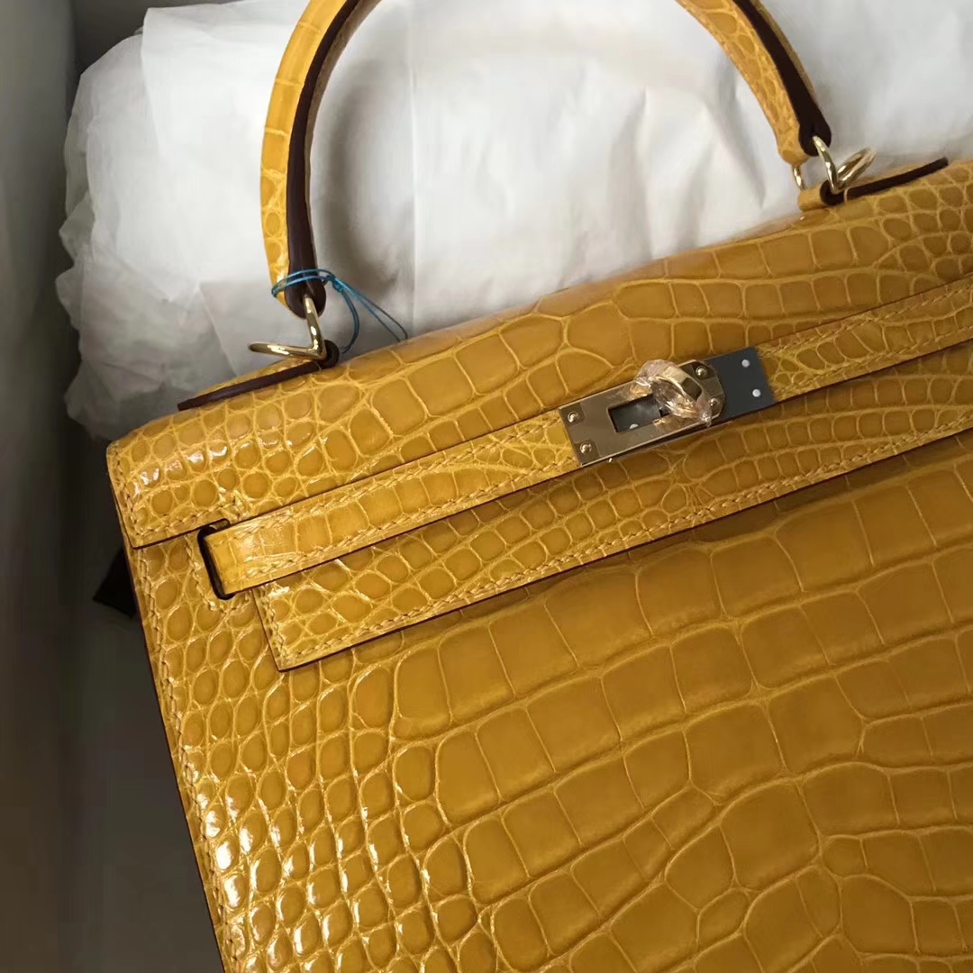 エルメスケリーバッグサイズエルメスケリー25CM9Dアンバーイエローシャイニークロコダイルレザーゴールドバックル