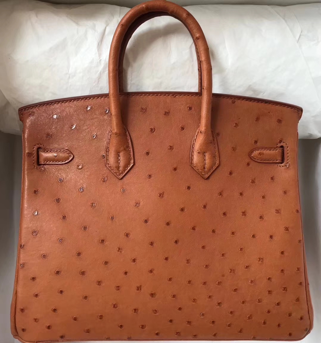 エルメスバッグ公式サイトエルメスキャラメルトップKKオーストリッチレザープラチナバッグBirkin25CMゴールドバックル