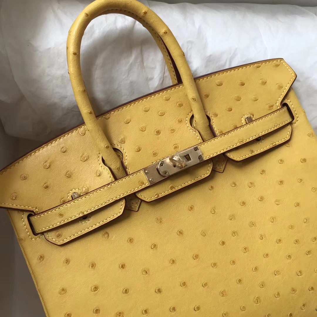 エルメスバーキンバッグエルメストップKKオーストリッチレザープラチナバッグ25CM9Dアンバーゴールドバックル-hermes.earth エルメスバーキンバッグエルメストップKKオーストリッチレザープラチナバッグ25CM9Dアンバーゴールドバックル