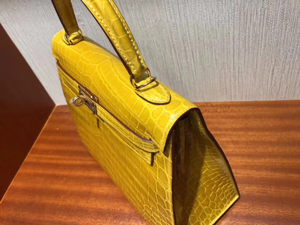 エルメスケリー25CMエルメス9Dアンバーイエローシャイニークロコダイルレザーケリーバッグゴールドバックル-hermes.earth エルメスケリー25CMエルメス9Dアンバーイエローシャイニークロコダイルレザーケリーバッグゴールドバックル