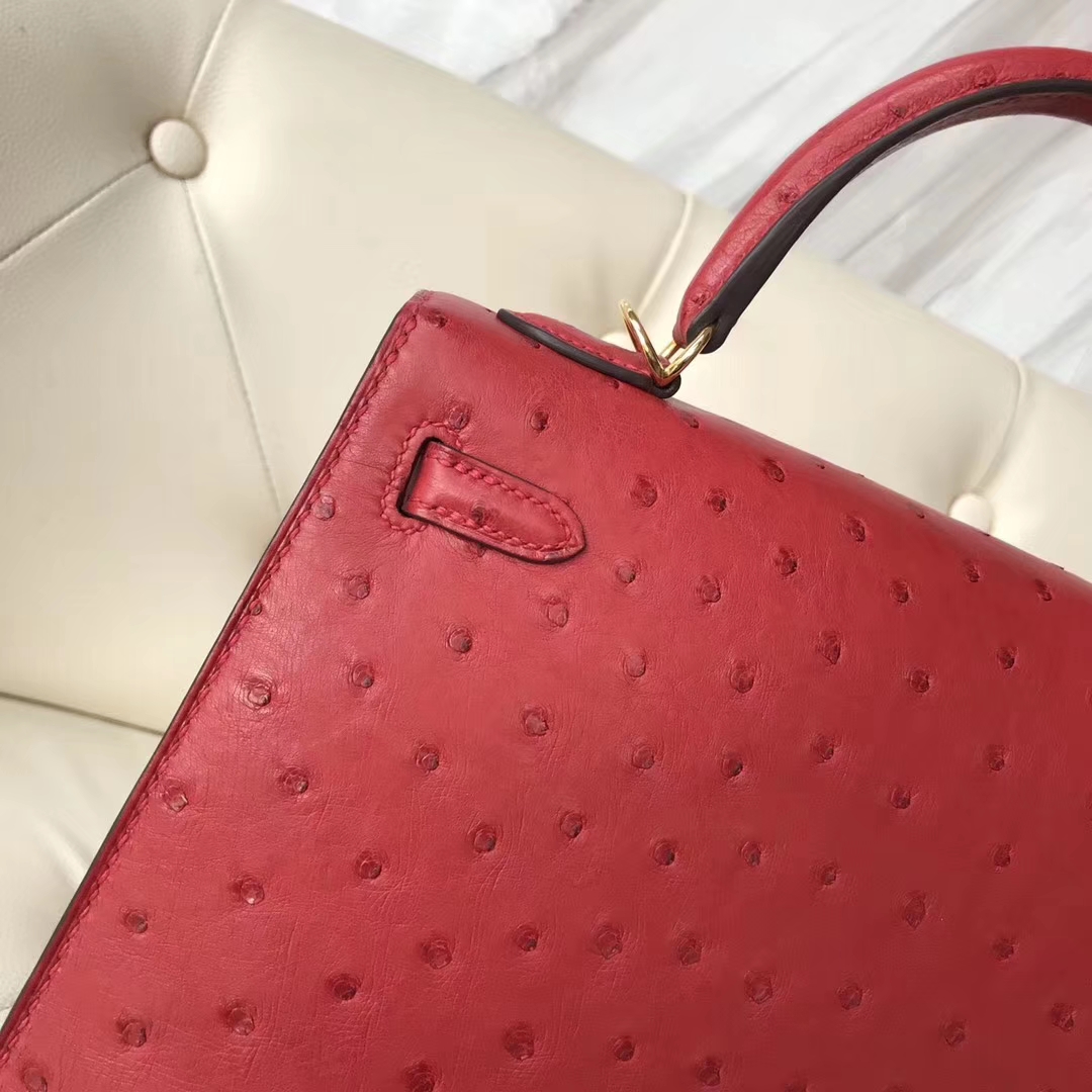 エルメスケリーバッグ価格エルメスケリー25CMQ5フラッグレッドKKオーストリッチスキンケリーバッグゴールドバックル