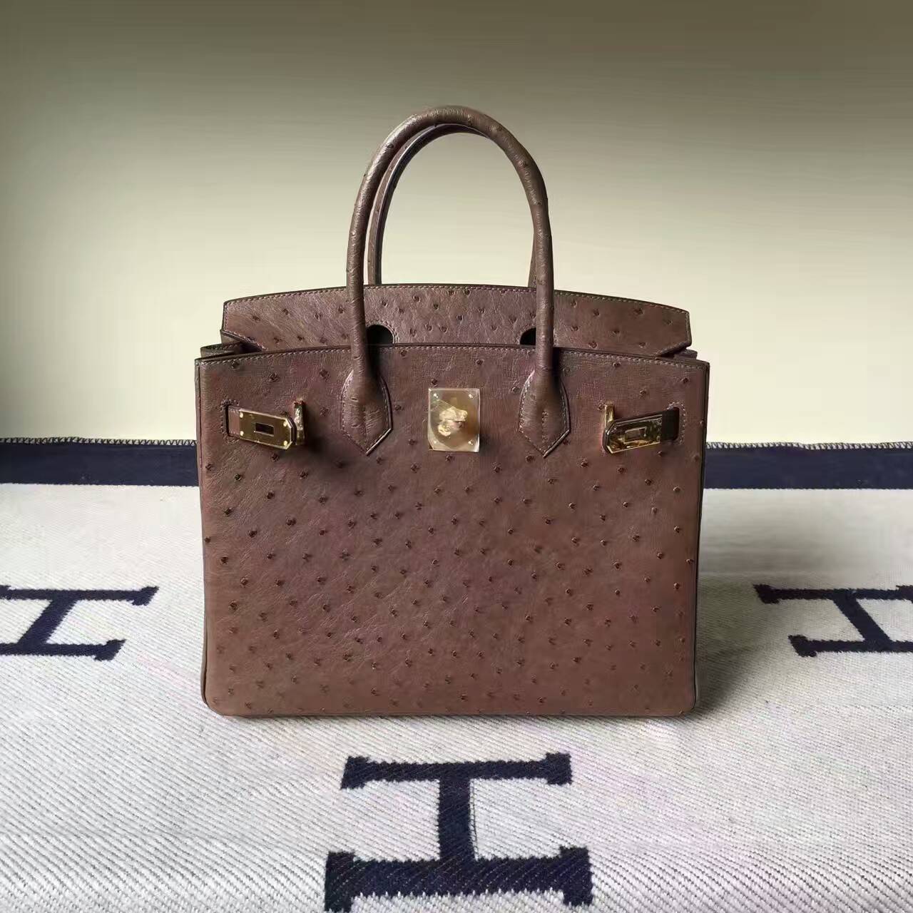 エルメスエルメスバッグ公式サイトタバコカラー輸入KKダチョウレザーBirkin30プラチナバッグ