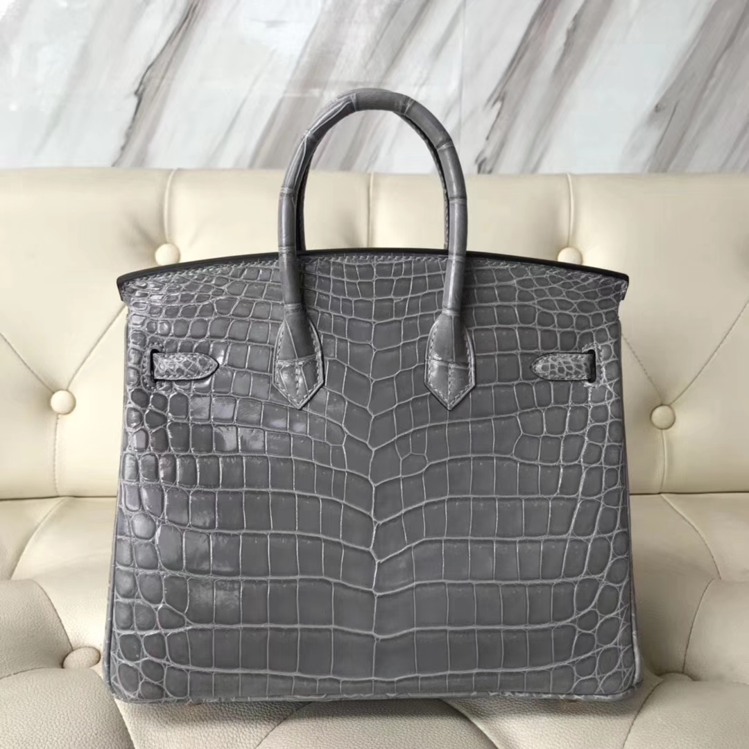 エルメスバーキンバッグエルメスシャイニーナイルクロコダイルレザープラチナバッグBirkin25CM8Uグレイシャーグレーゴールドバックル