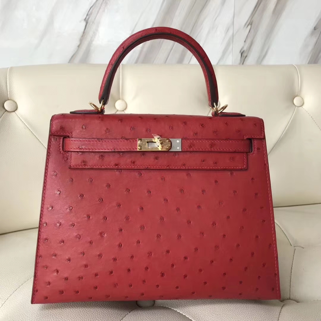 エルメスケリーバッグ価格エルメスケリー25CMQ5フラッグレッドKKオーストリッチスキンケリーバッグゴールドバックル