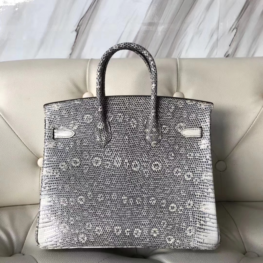 エルメスバッグ公式サイトエルメスBirkin25CM01スモールヒマラヤトカゲスキンプラチナバッグシルバーバックル