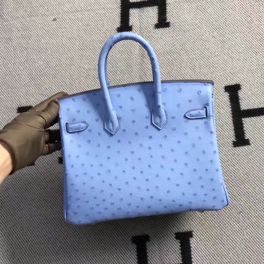 エルメスバッグ公式サイトエルメスピンクブルー輸入南アフリカダチョウレザープラチナバッグBirkin25CMシルバーバックル