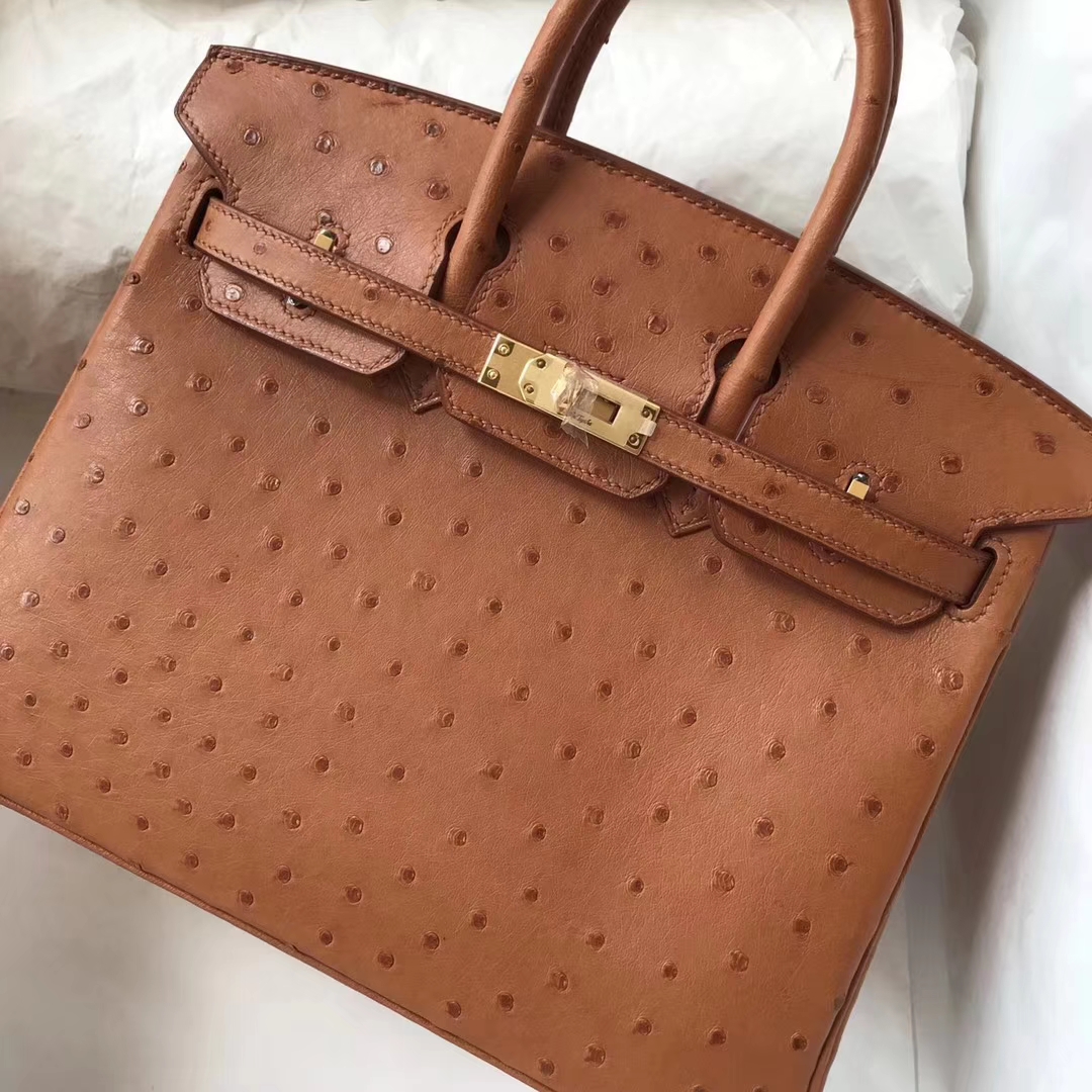エルメスバッグ公式サイトエルメスキャラメルトップKKオーストリッチレザープラチナバッグBirkin25CMゴールドバックル