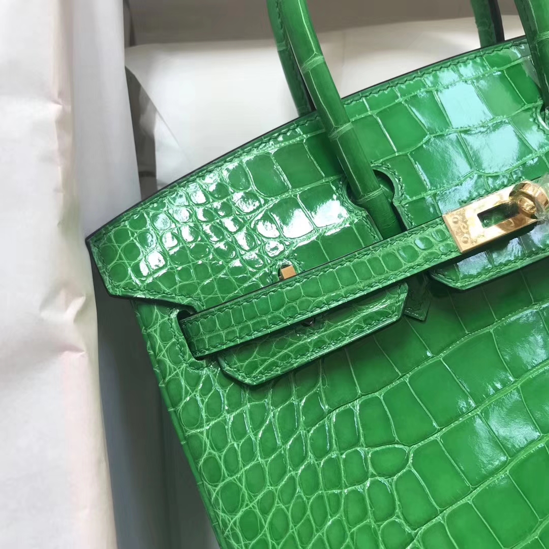 エルメスバーキンバッグエルメスシャイニークロコダイルレザープラチナバッグBirkin25CM1Lサボテングリーンゴールドバックル