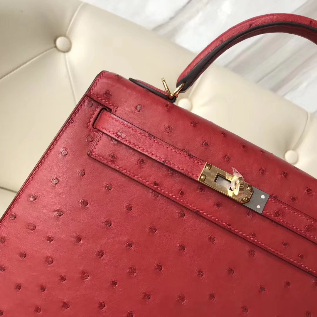 エルメスケリーバッグ価格エルメスケリー25CMQ5フラッグレッドKKオーストリッチスキンケリーバッグゴールドバックル