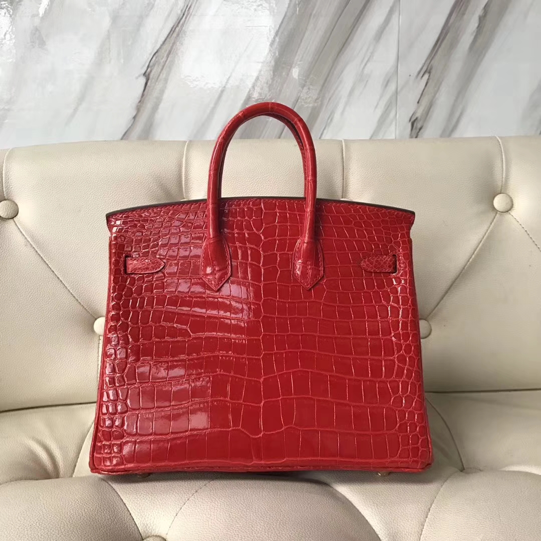 エルメスバーキンレディースバッグエルメスシャイニーオーストラリアンクロコダイルレザープラチナバッグBirkin25CMCK95フェラーリレッドゴールドバックル